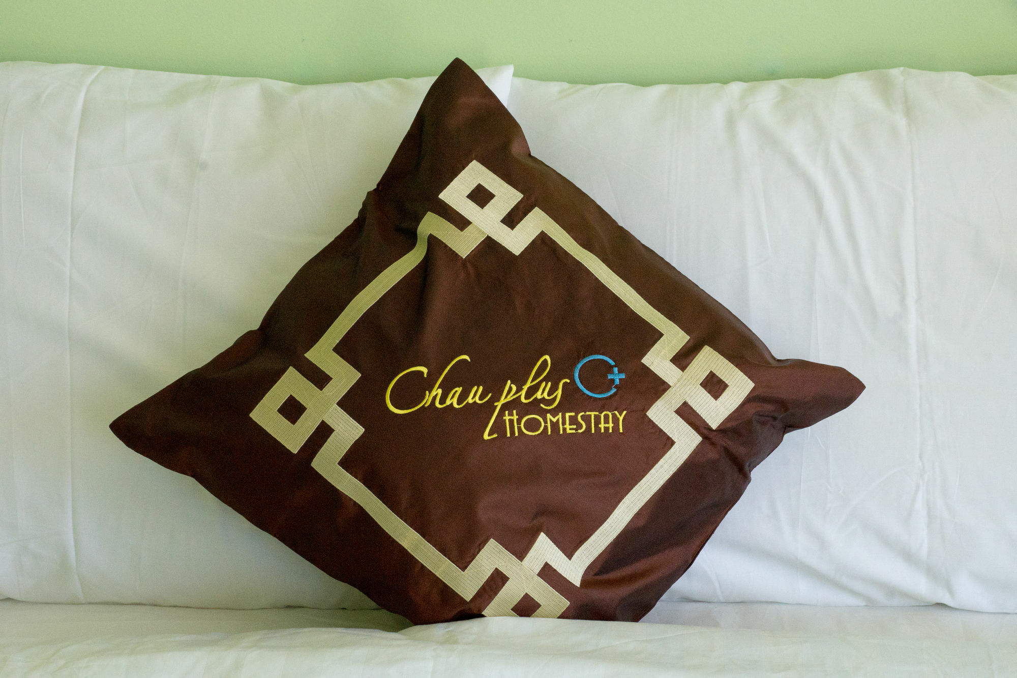 Chau Plus Homestay Hội An Kültér fotó